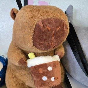 Meet your Posher, No